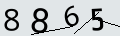 verifycode